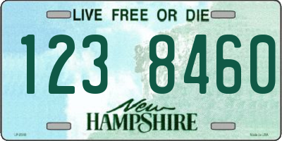 NH license plate 1238460