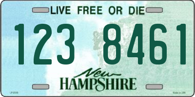 NH license plate 1238461