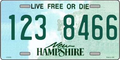 NH license plate 1238466