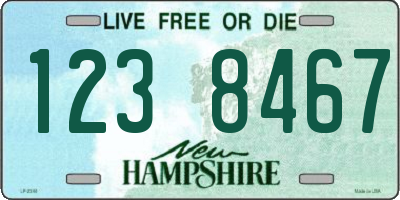 NH license plate 1238467