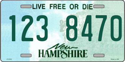 NH license plate 1238470