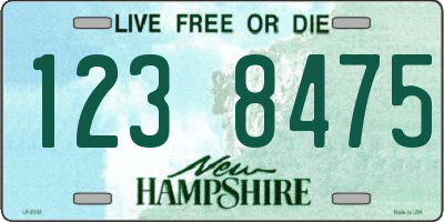 NH license plate 1238475