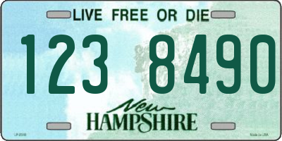 NH license plate 1238490
