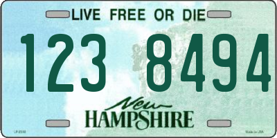 NH license plate 1238494