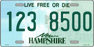 NH license plate 1238500