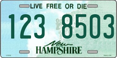NH license plate 1238503