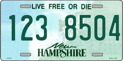 NH license plate 1238504