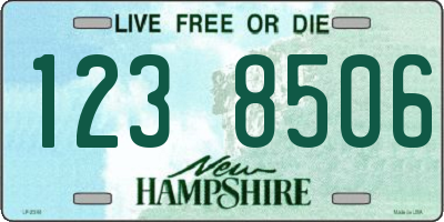NH license plate 1238506