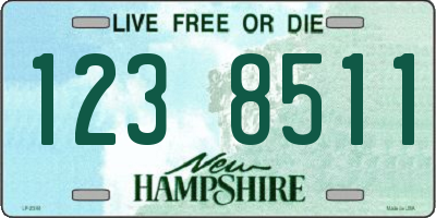 NH license plate 1238511