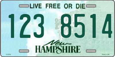 NH license plate 1238514