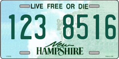 NH license plate 1238516
