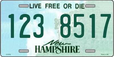 NH license plate 1238517