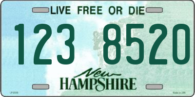 NH license plate 1238520