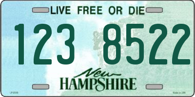NH license plate 1238522