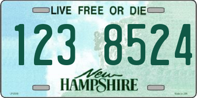 NH license plate 1238524
