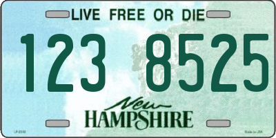 NH license plate 1238525