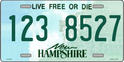 NH license plate 1238527