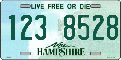 NH license plate 1238528