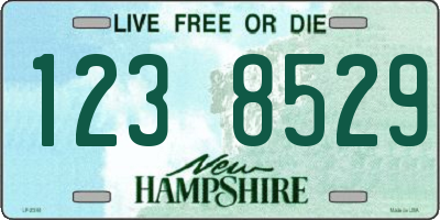 NH license plate 1238529