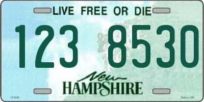 NH license plate 1238530