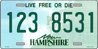 NH license plate 1238531
