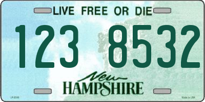 NH license plate 1238532
