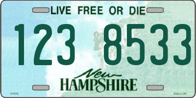 NH license plate 1238533