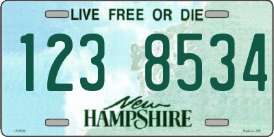 NH license plate 1238534