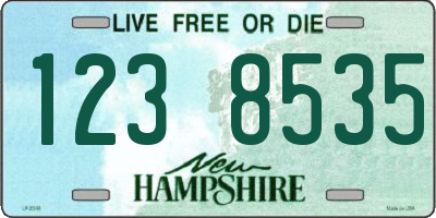 NH license plate 1238535