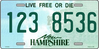 NH license plate 1238536