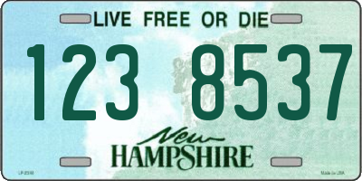 NH license plate 1238537