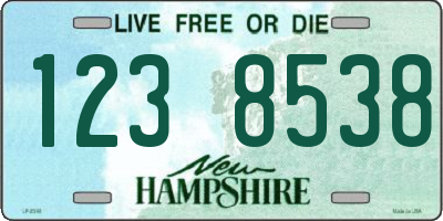 NH license plate 1238538