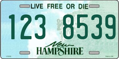 NH license plate 1238539