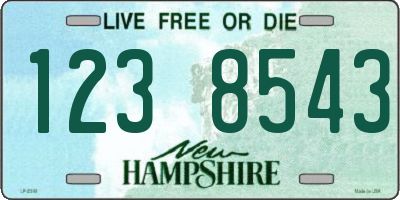 NH license plate 1238543