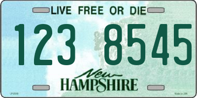 NH license plate 1238545