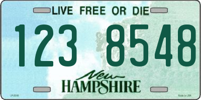 NH license plate 1238548