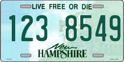 NH license plate 1238549