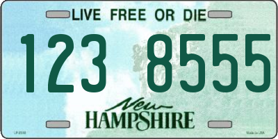 NH license plate 1238555