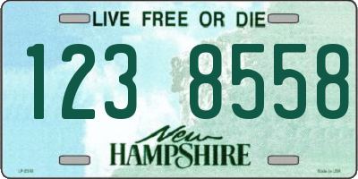 NH license plate 1238558