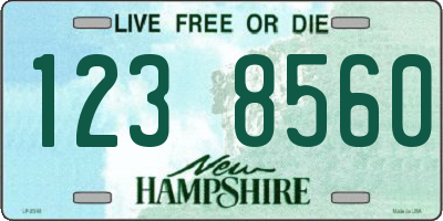 NH license plate 1238560