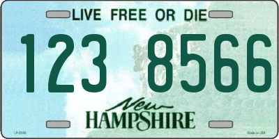 NH license plate 1238566