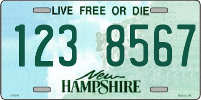 NH license plate 1238567