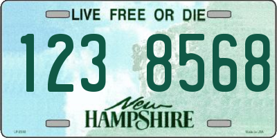NH license plate 1238568