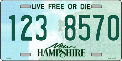 NH license plate 1238570