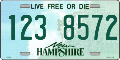 NH license plate 1238572