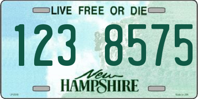 NH license plate 1238575