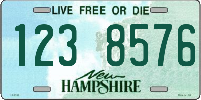 NH license plate 1238576