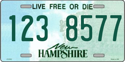 NH license plate 1238577