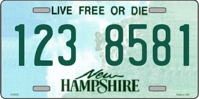 NH license plate 1238581