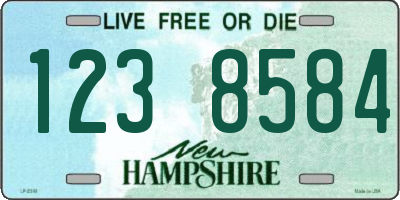 NH license plate 1238584